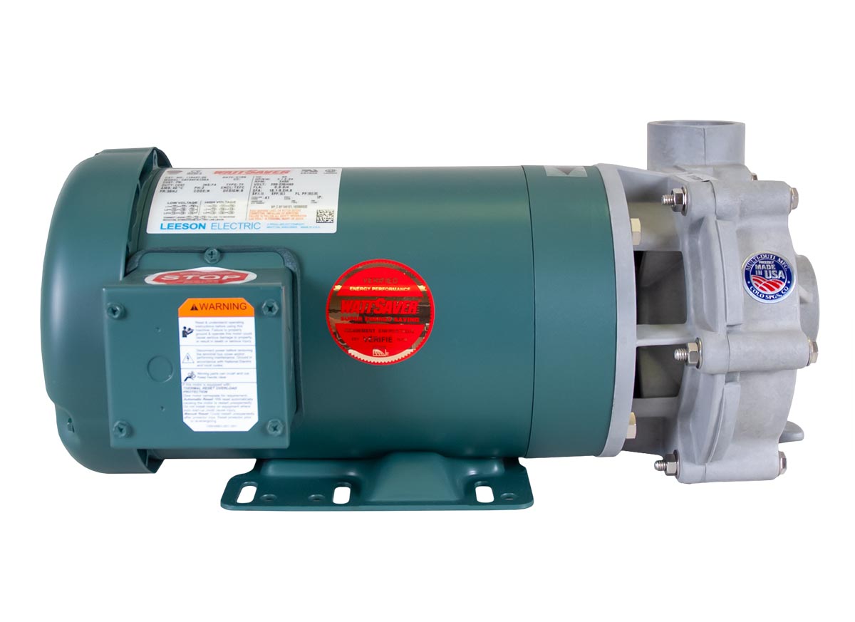 Advance 1000 Pump with green Leeson Motor left side view