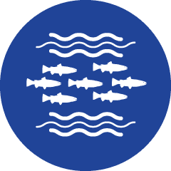 Blue Aquaculture industry icon
